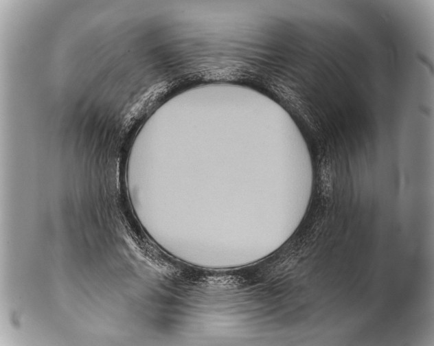 X0000101160686200807251111