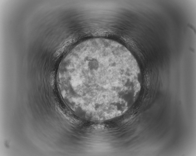X0000101160687200807251111