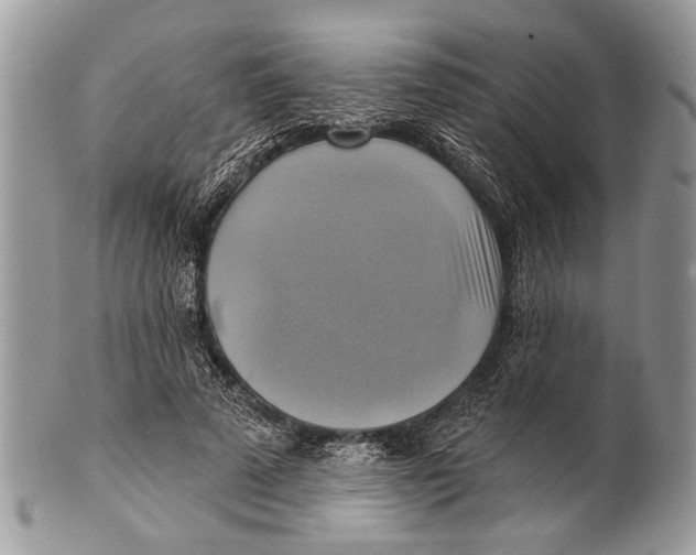 X0000101160689200807251111