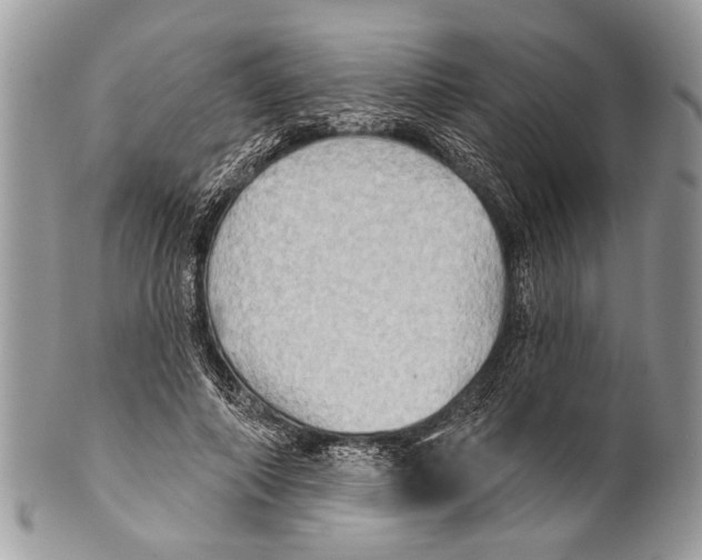 X0000101160690200807251111