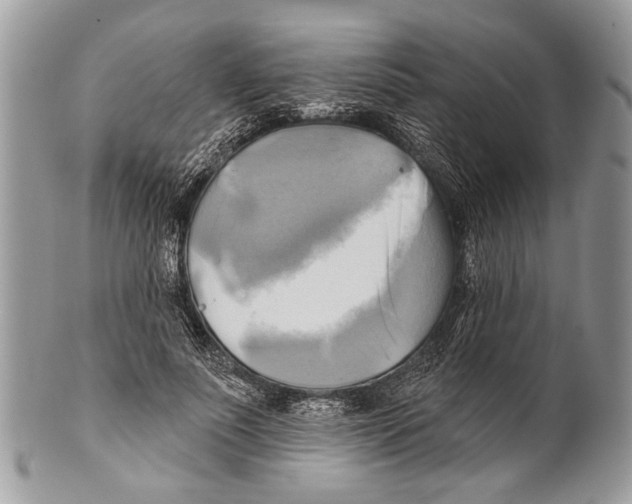 X0000101160691200807251111