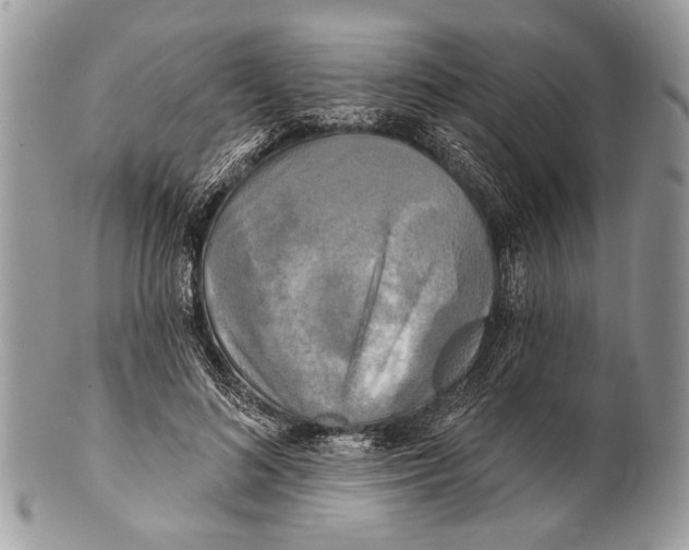 X0000101160692200807251111