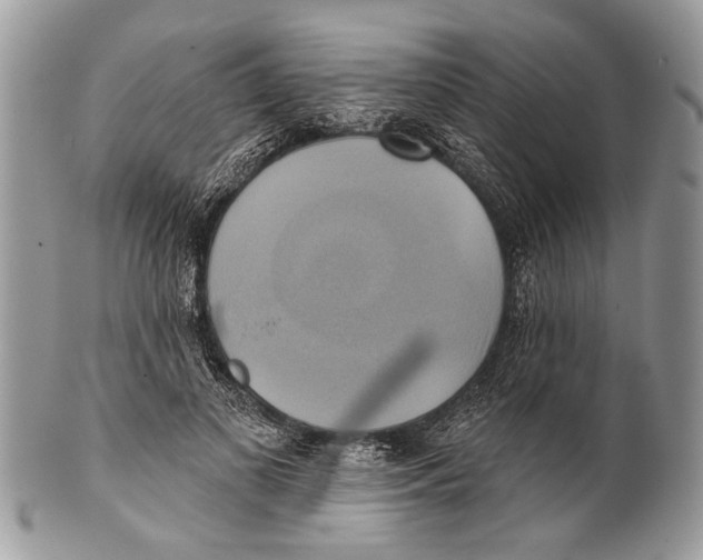X0000101160693200807251111