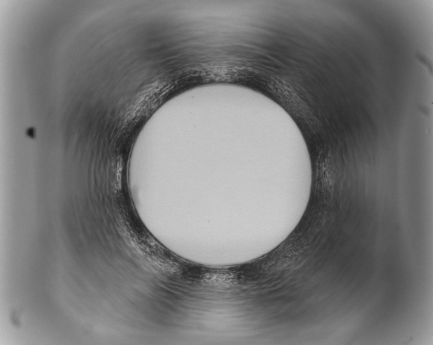 X0000101160694200807251111