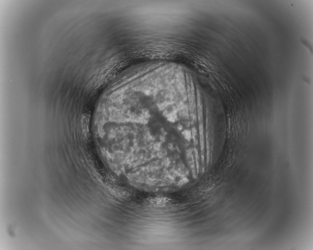X0000101160695200807251111