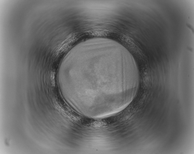 X0000101160696200807251111