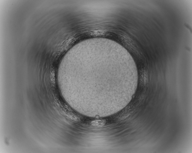 X0000101160700200807251111