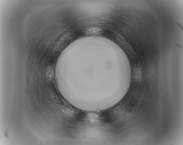 X0000101160701200807251111