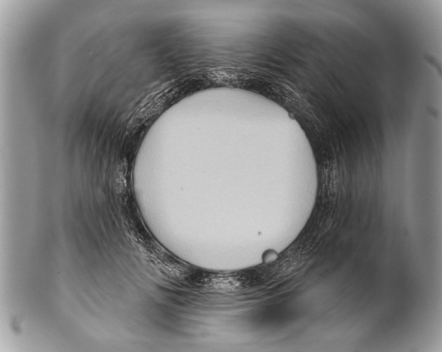 X0000101160702200807251111