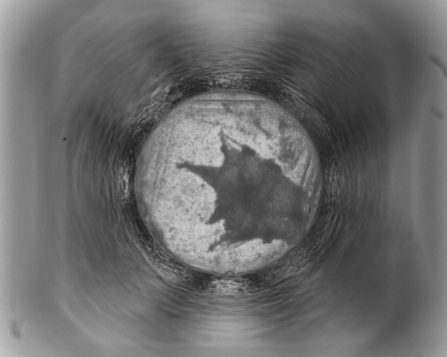 X0000101160703200807251111