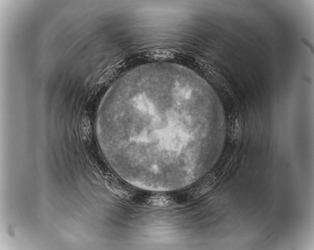 X0000101160704200807251111