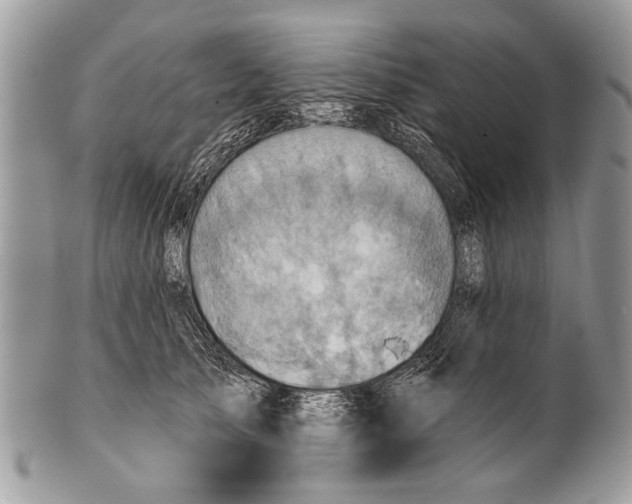 X0000101160705200807251111