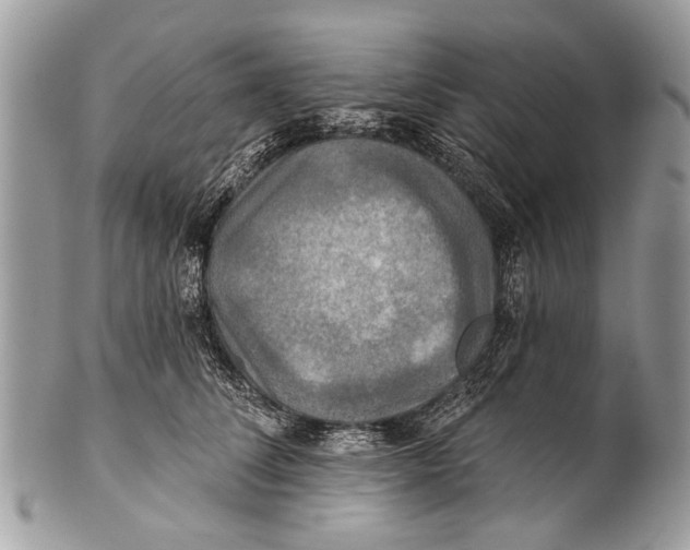 X0000101160708200807251111