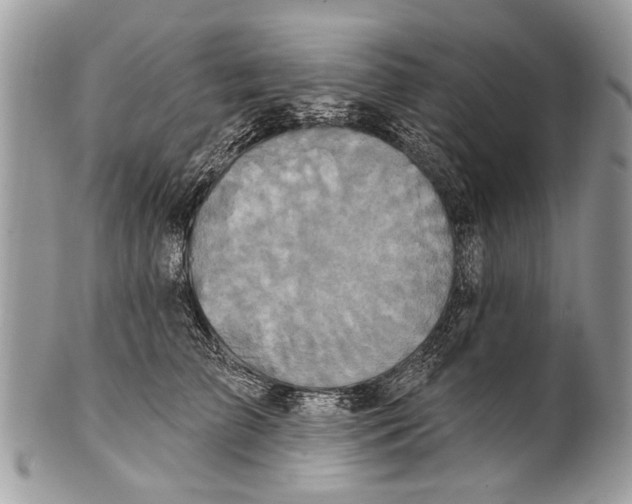 X0000101160709200807251111