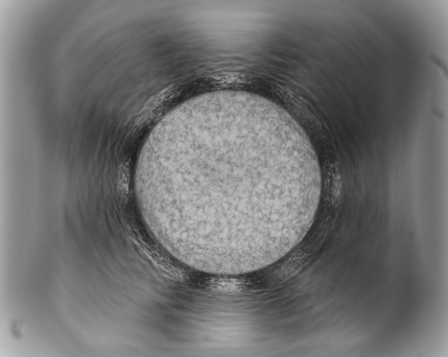 X0000101160710200807251111