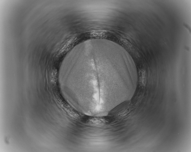 X0000101160712200807251111
