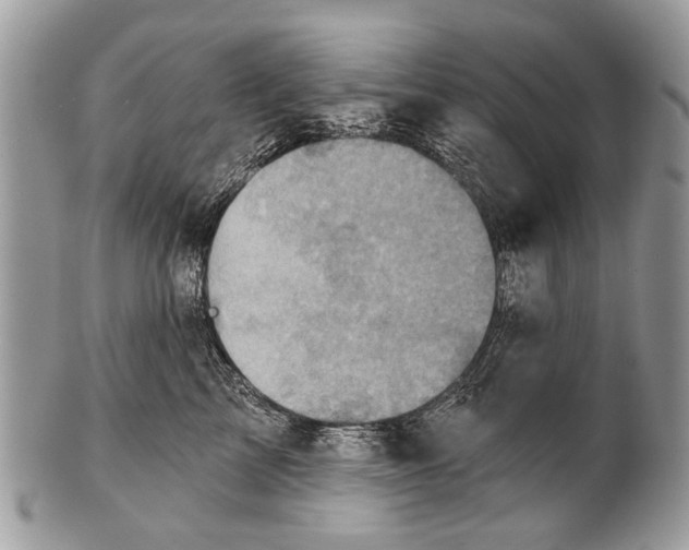 X0000101160713200807251111