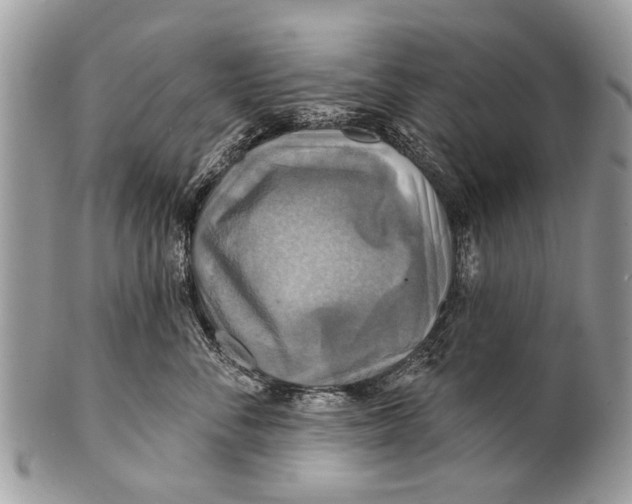 X0000101160716200807251111