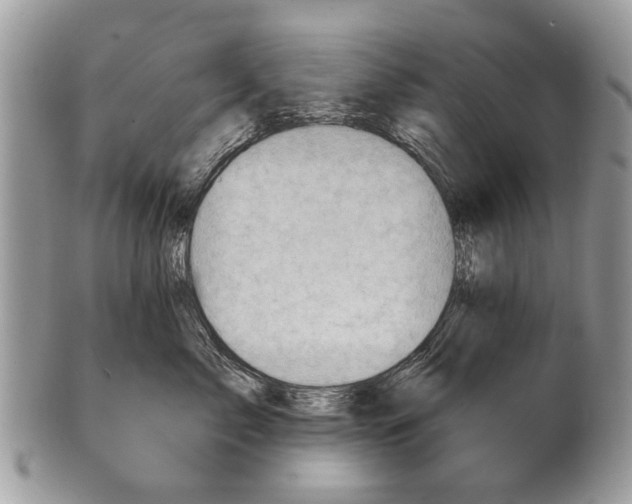X0000101160717200807251111