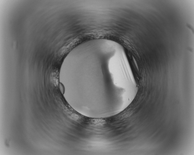 X0000101160719200807251111
