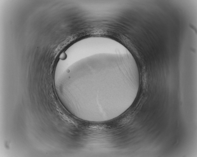 X0000101160721200807251110
