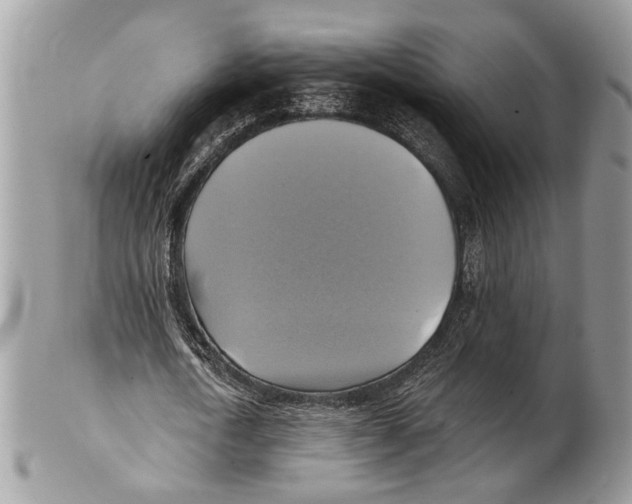 X0000101160722200807251110