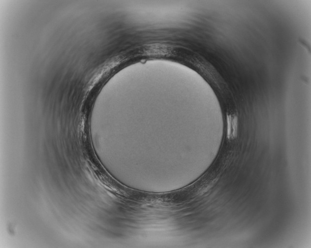 X0000101160723200807251110