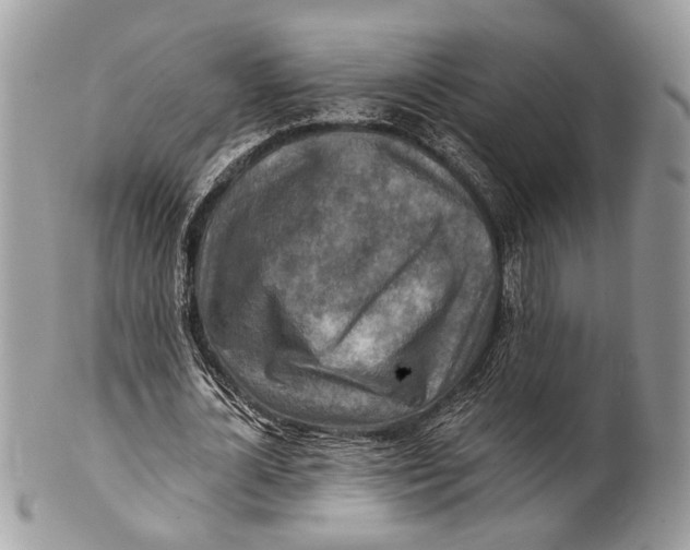 X0000101160724200807251110