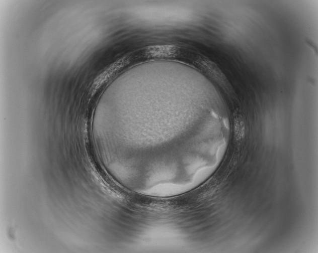 X0000101160725200807251110