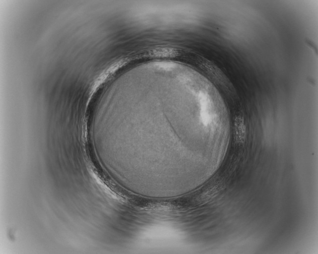 X0000101160726200807251110