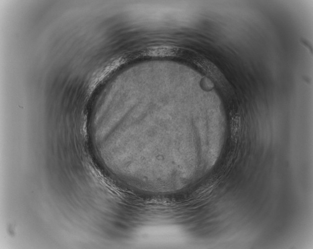 X0000101160727200807251110