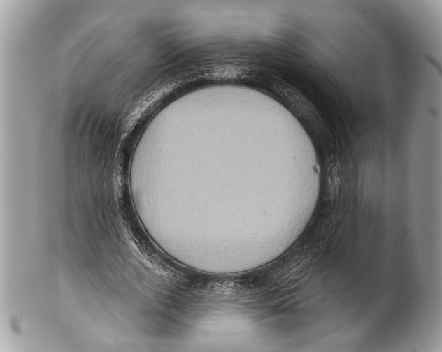X0000101160728200807251110