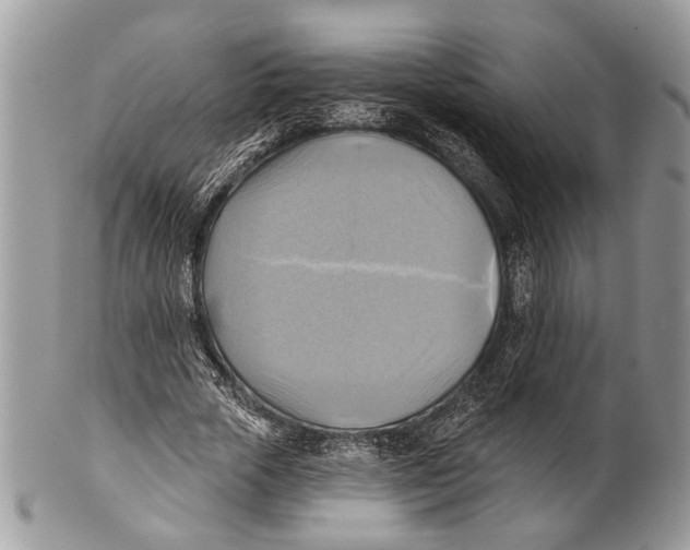 X0000101160729200807251110