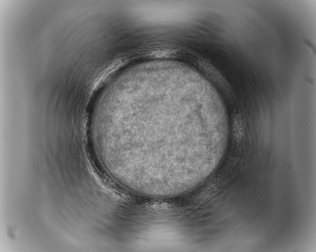 X0000101160730200807251110
