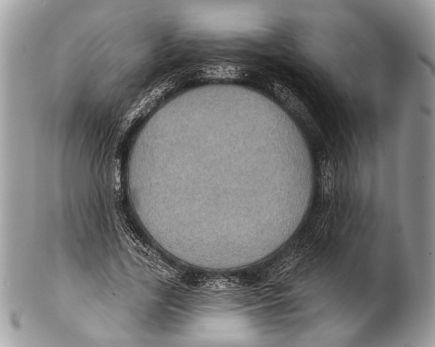 X0000101160731200807251110