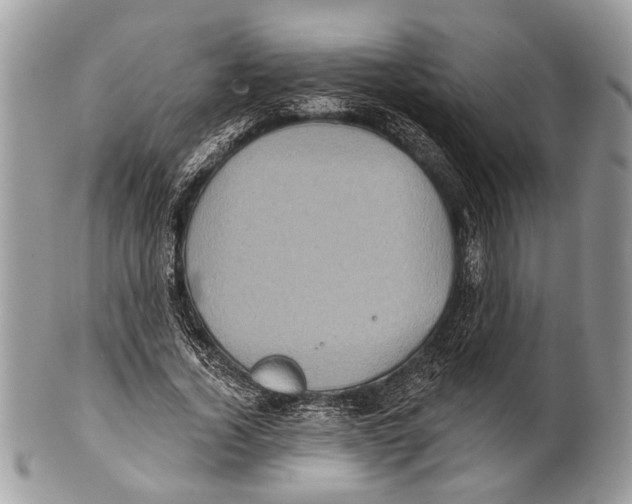 X0000101160732200807251110