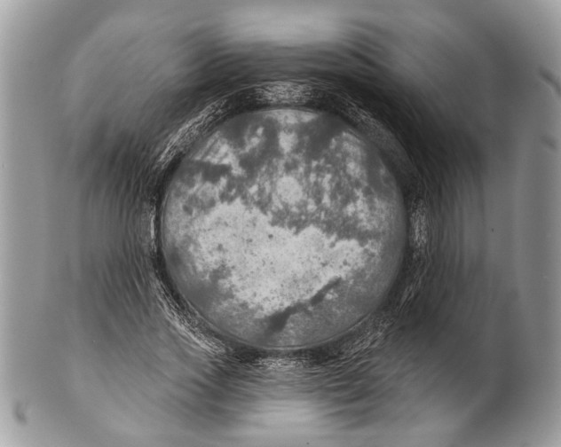 X0000101160733200807251110