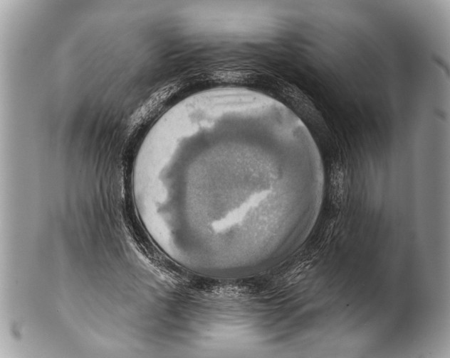 X0000101160734200807251110