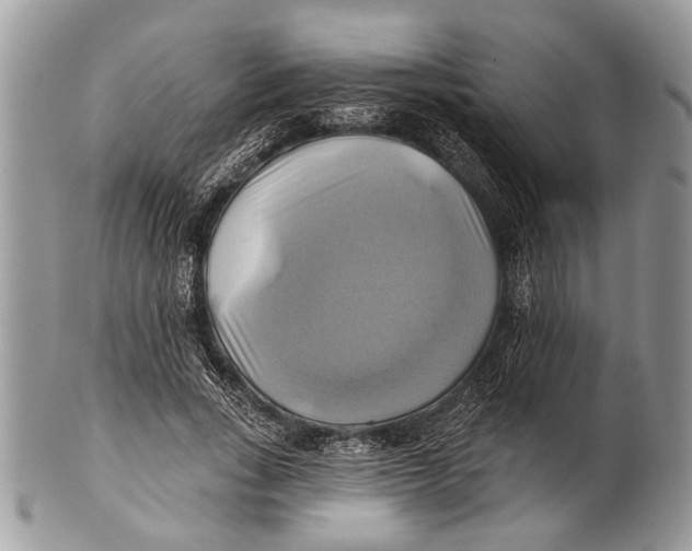 X0000101160735200807251110