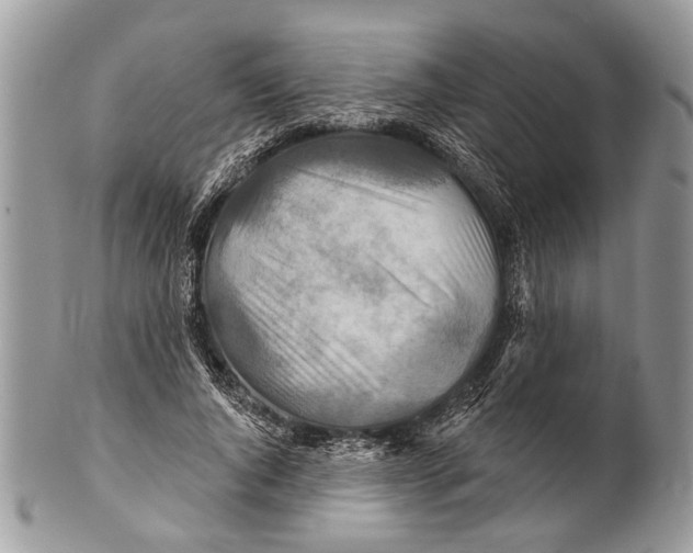 X0000101160736200807251110