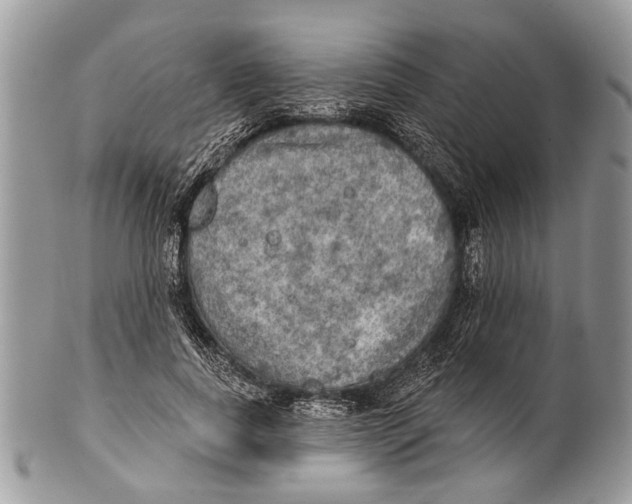 X0000101160739200807251110