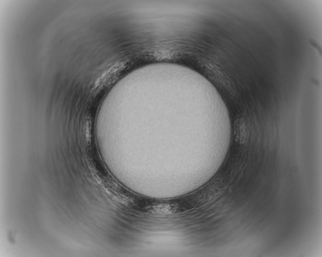 X0000101160740200807251110