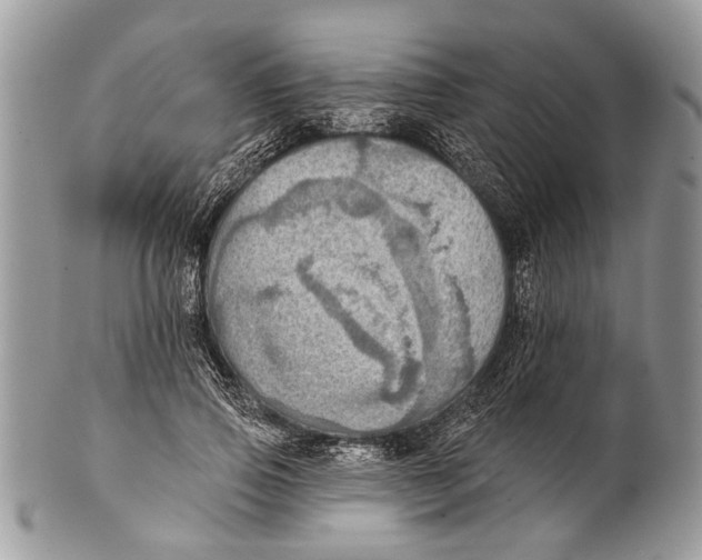 X0000101160741200807251110