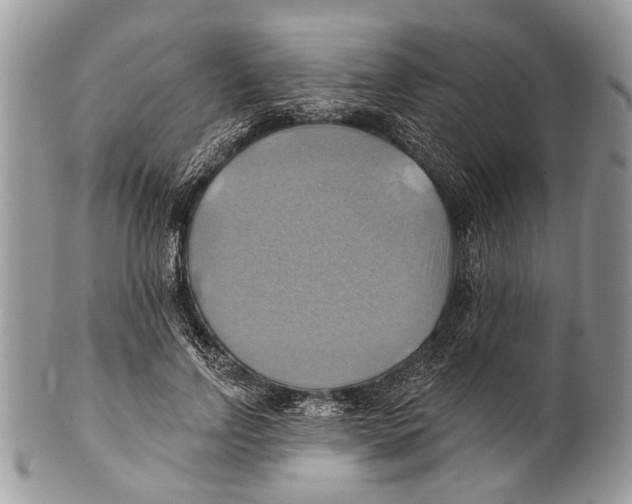 X0000101160742200807251110