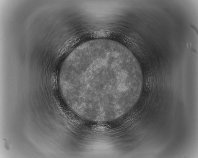 X0000101160743200807251110