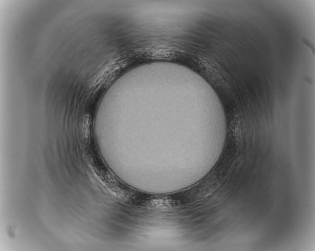 X0000101160744200807251110