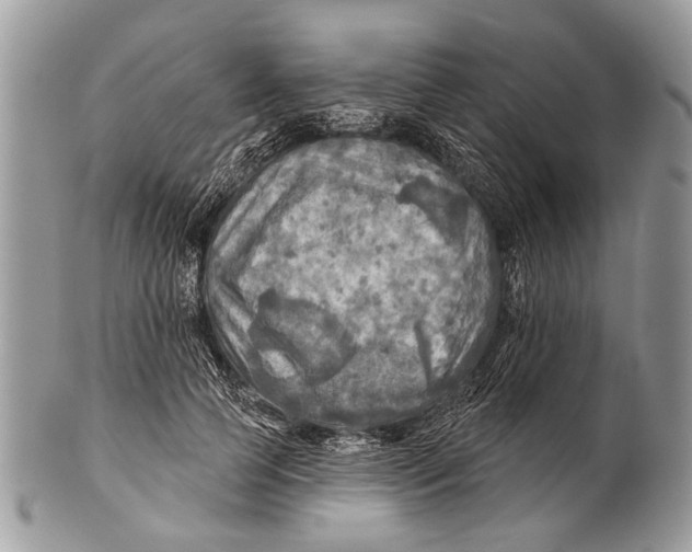 X0000101160745200807251110