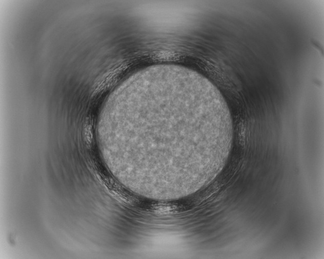 X0000101160746200807251110