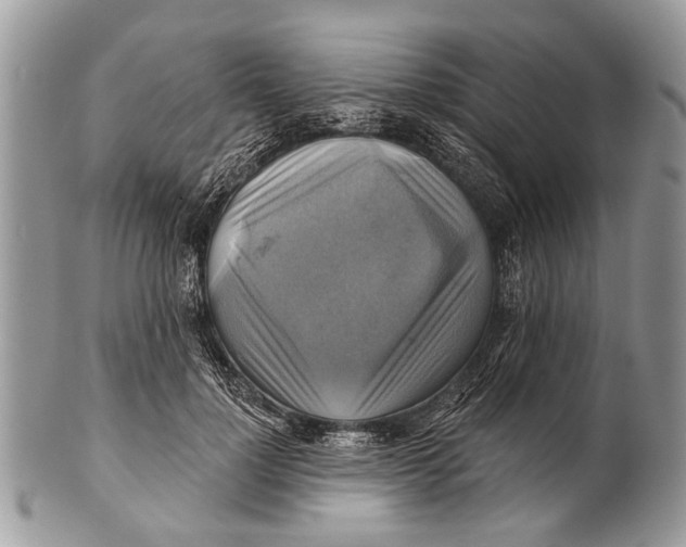 X0000101160748200807251110