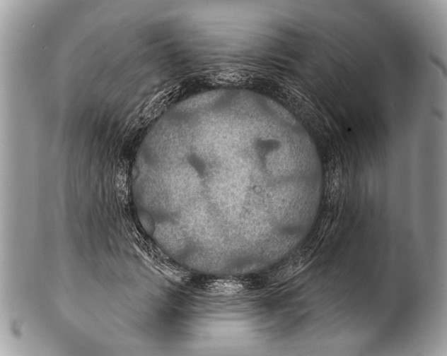 X0000101160749200807251110